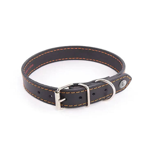 Collier cuir Flash Martin Sellier 2