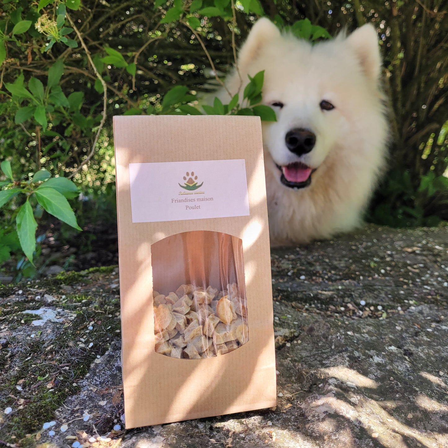 Friandise_maison_Reliance_Canine 3