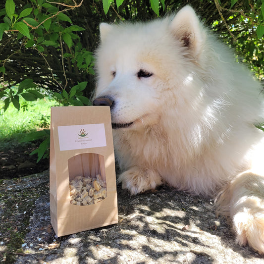 Friandise_maison_Reliance_Canine 4