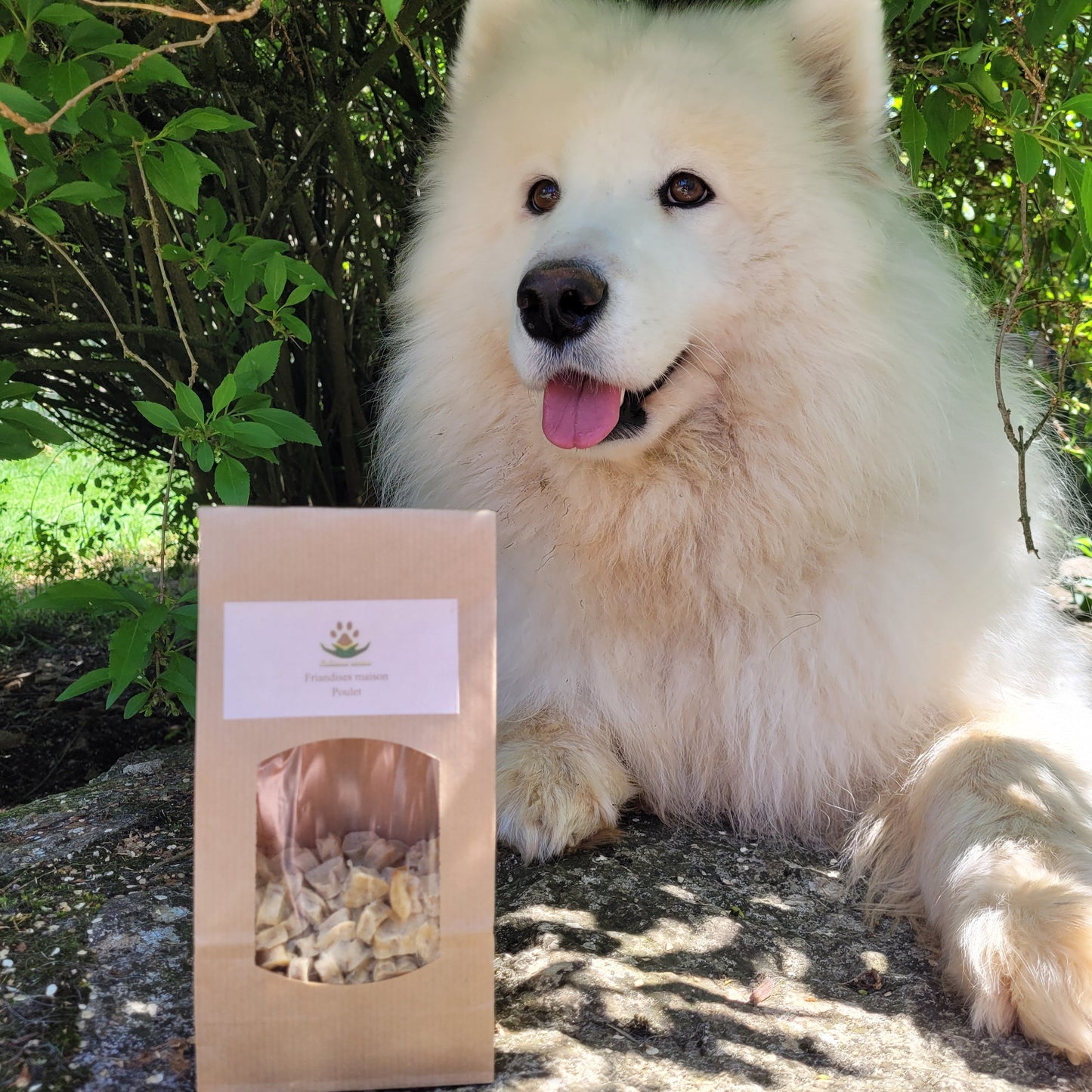 Friandise_maison_Reliance_Canine 5