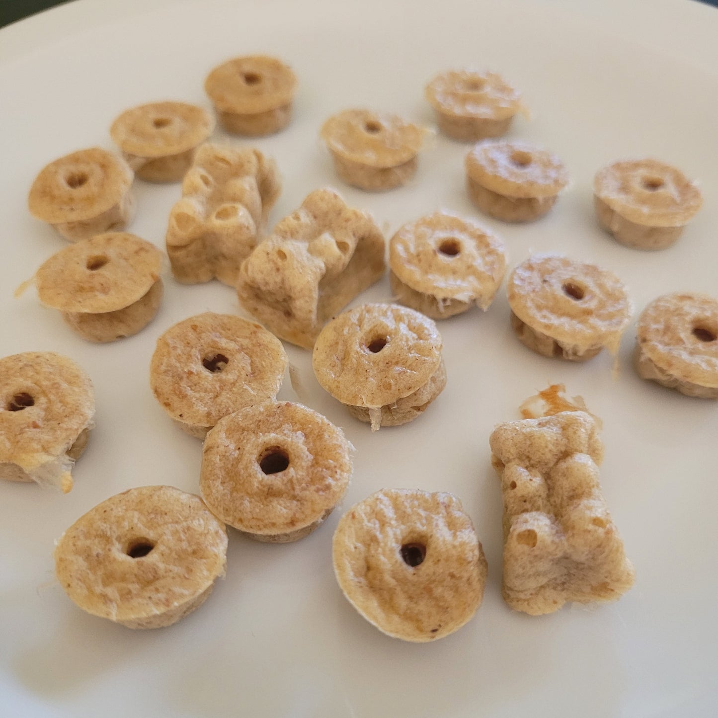 Friandises-maison-Reliance-Canine-Moyenne