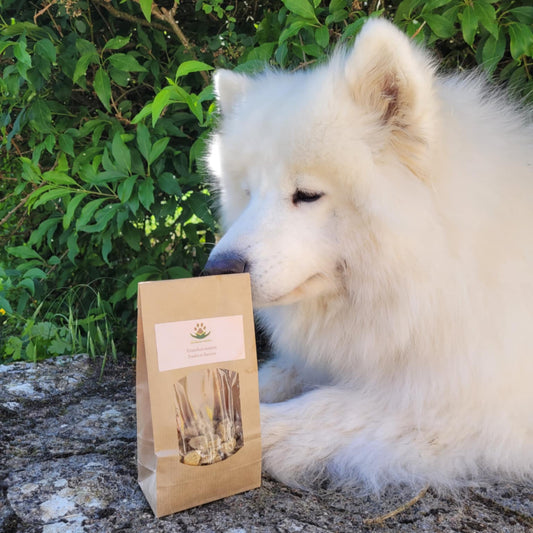 Friandises maison viandes et légume Reliance Canine 2