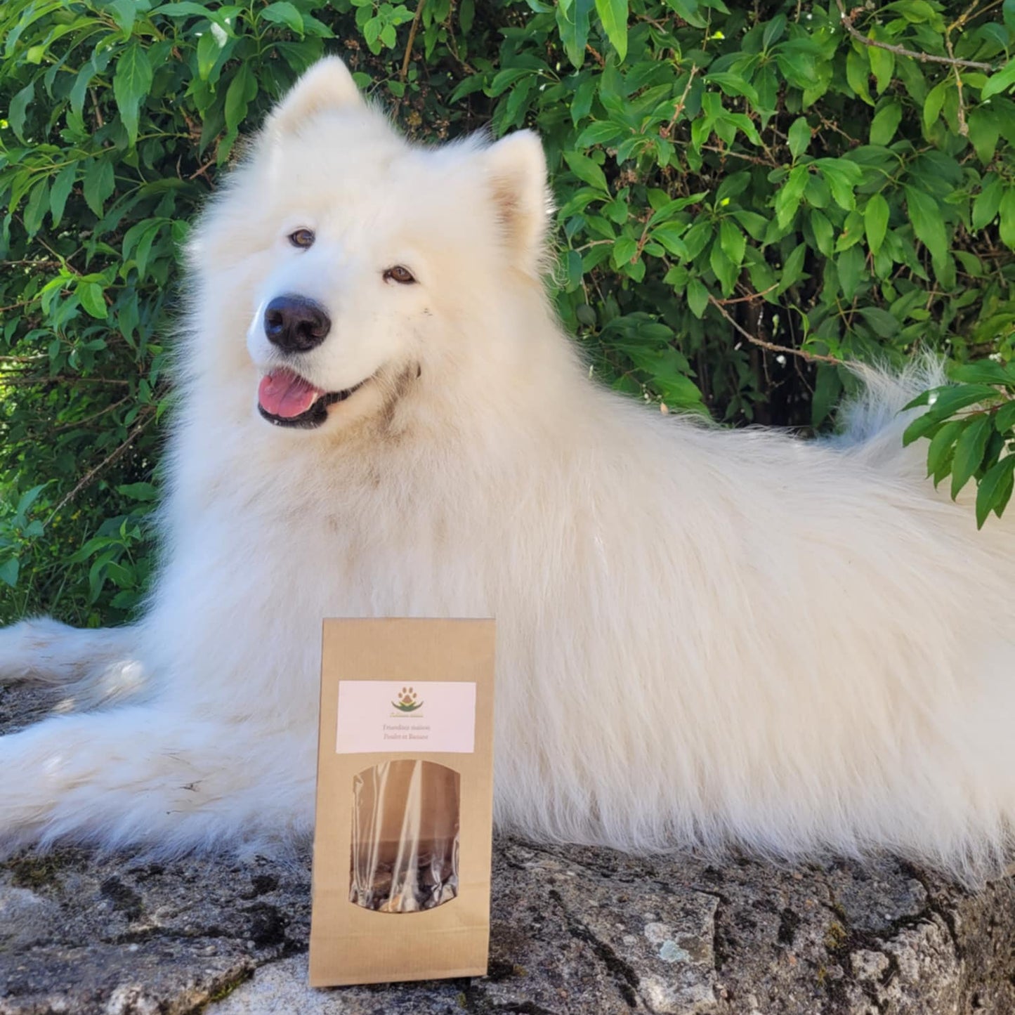 Friandises maison viandes et légumes Reliance Canine 4