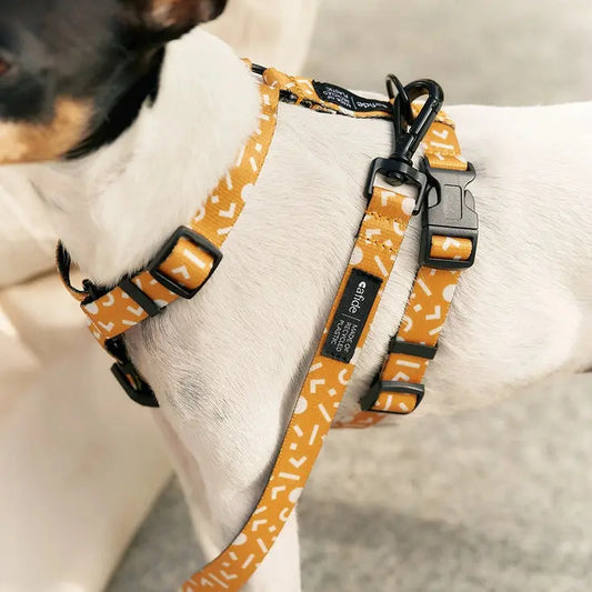 Harnais Juno en plastique recyclé Cafide Jaune