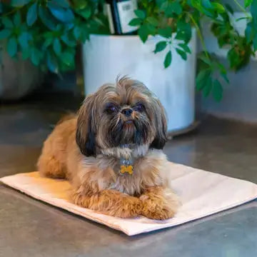 Housse tapis Cool Pet Pad The Green Pet Shop 3
