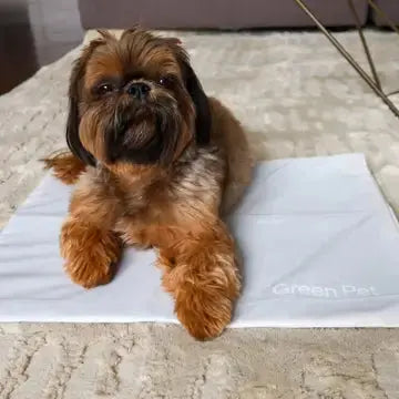 Housse tapis Cool Pet Pad The Green Pet Shop 5