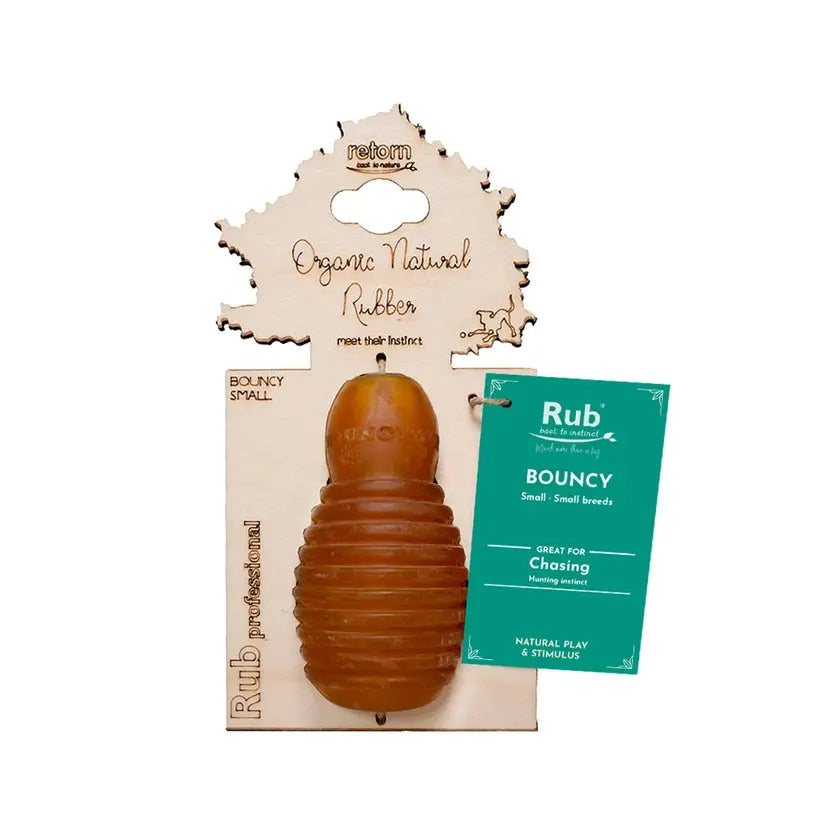 Jouet Rub Bouncy Retorn 3