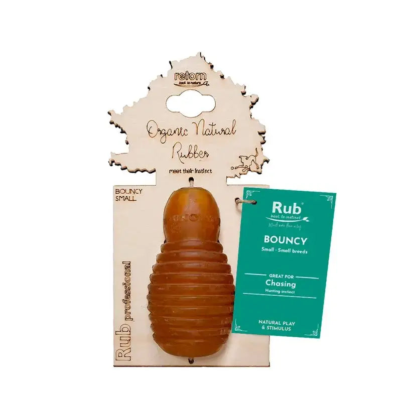 Jouet Rub Bouncy Retorn 3