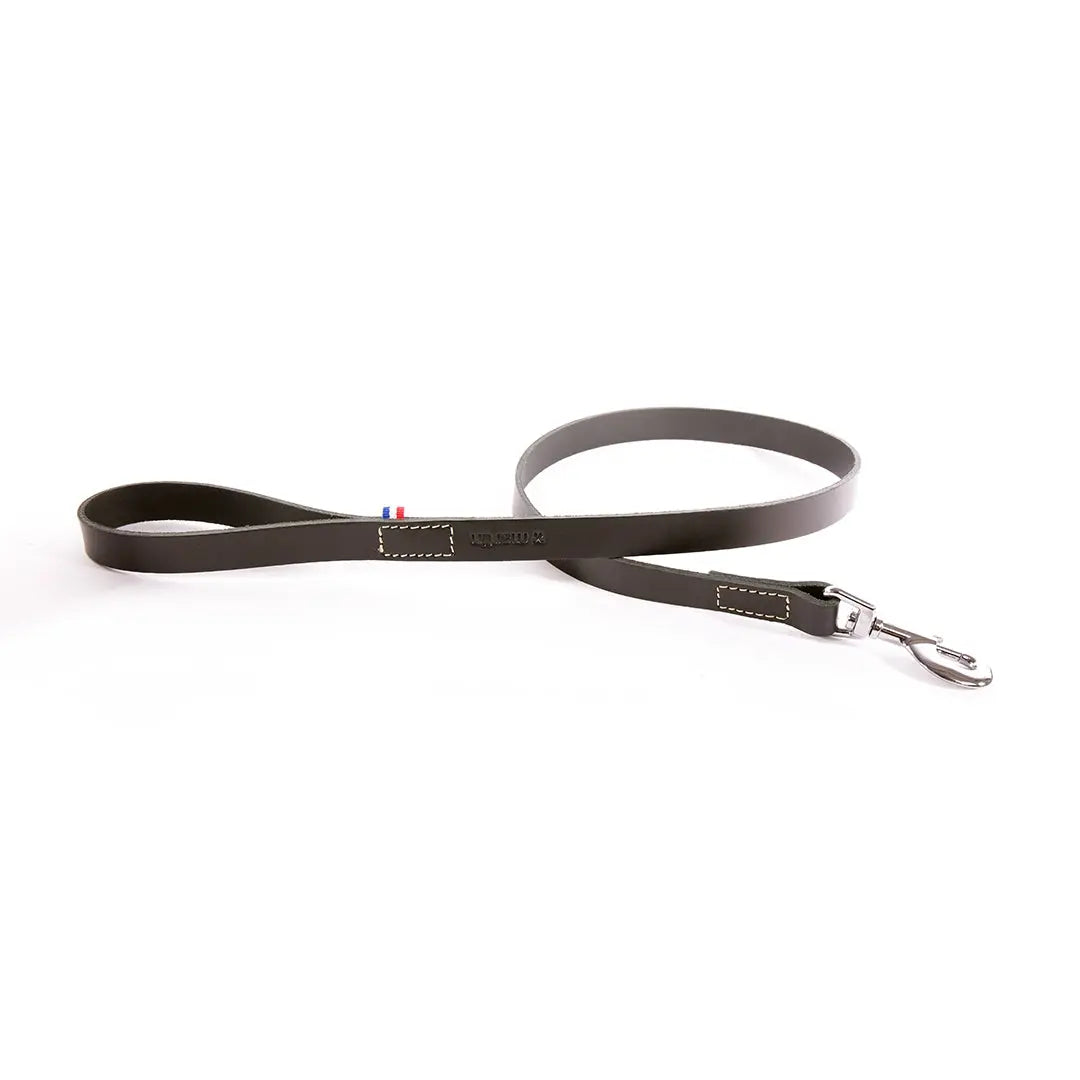 Laisse en cuir 499 Martin Sellier 2