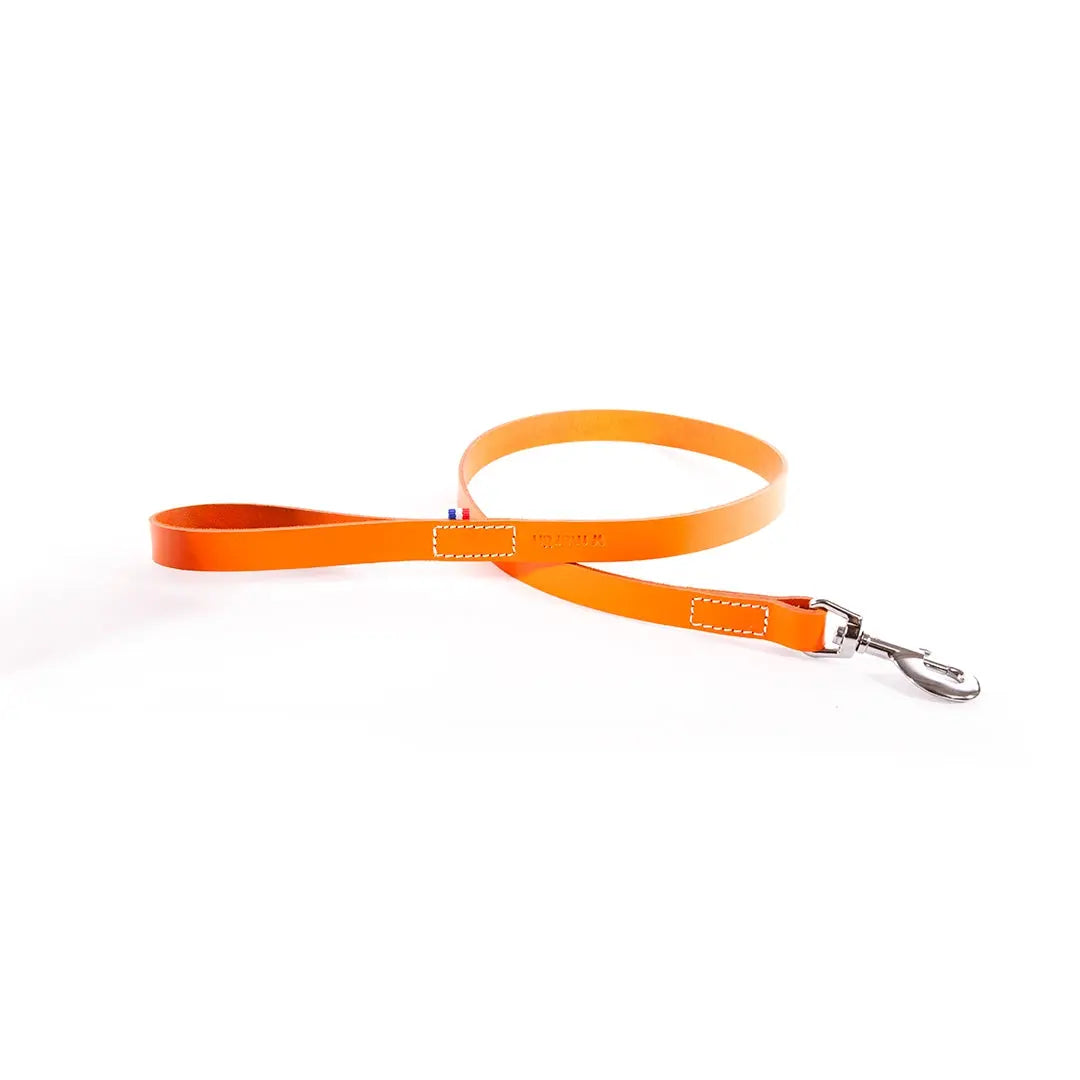 Laisse en cuir 499 Martin Sellier 3