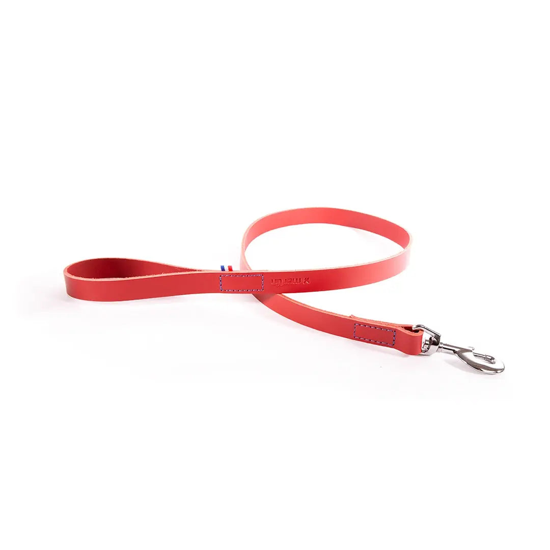 Laisse en cuir 499 Martin Sellier