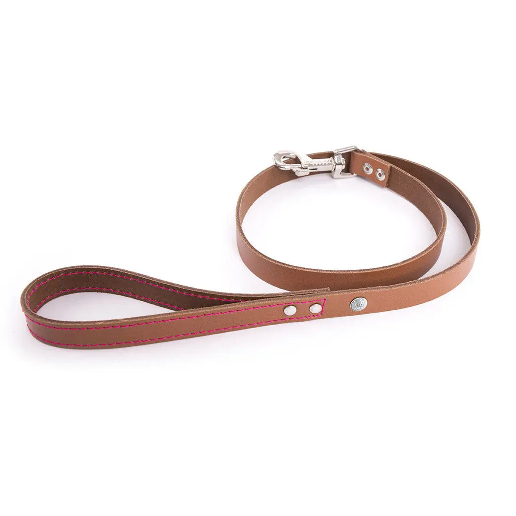 Laisse en cuir Flash Martin Sellier 4