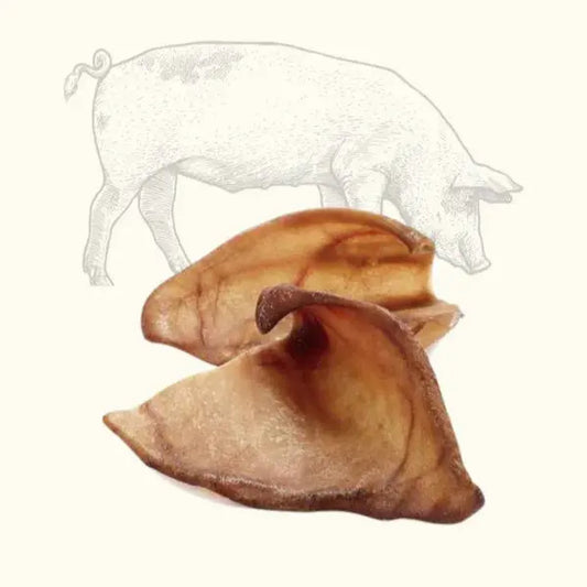 Oreille de Cochon Truffe Délice 2