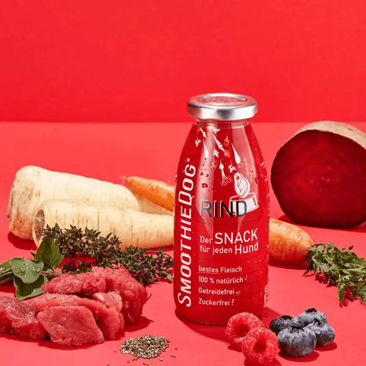 Smoothie Bœuf SmoothieDog 2