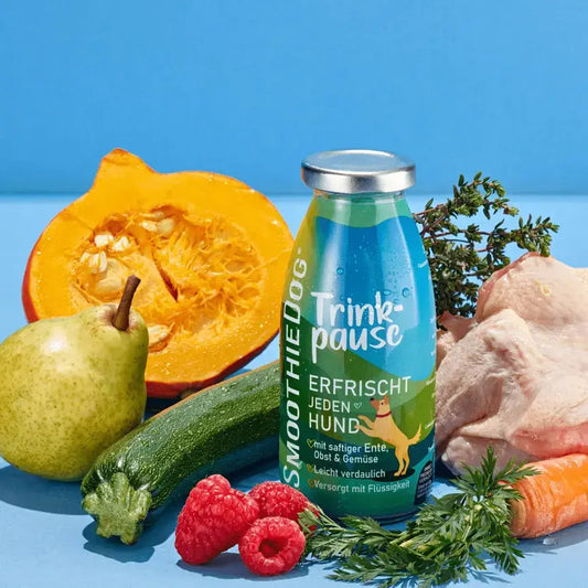 Smoothie Canard SmoothieDog