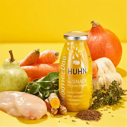 Smoothie Poulet SmoothieDog