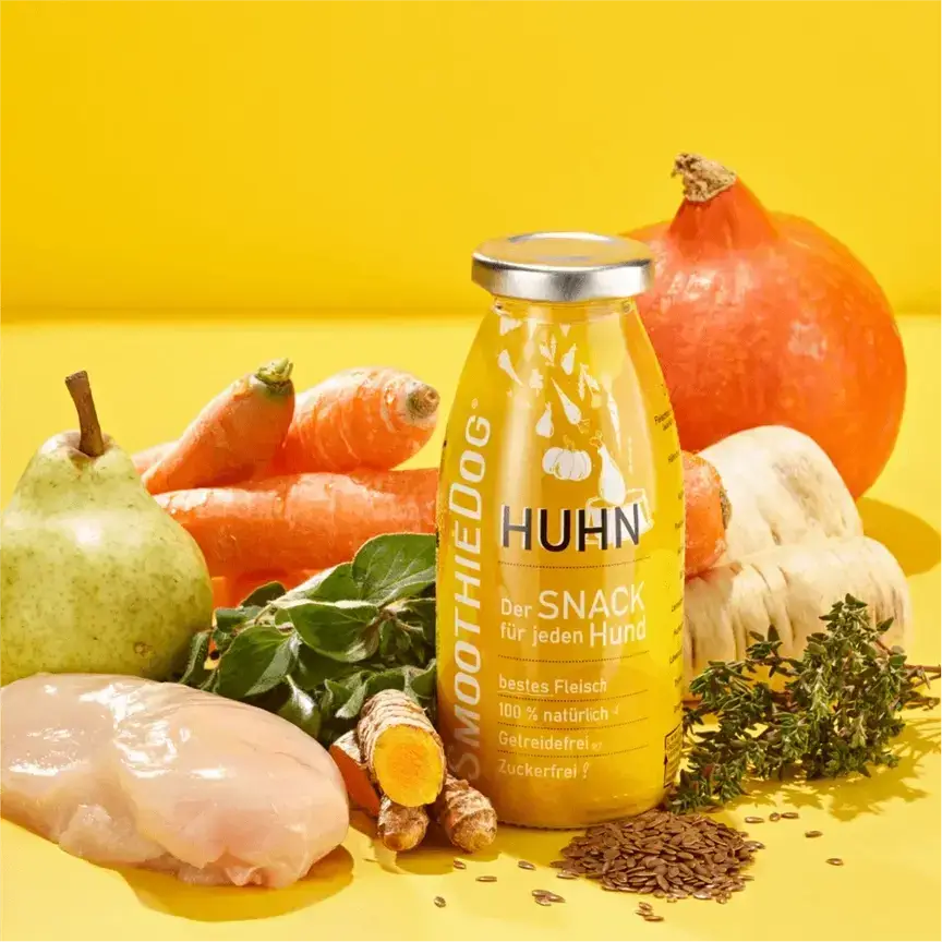 Smoothie Poulet SmoothieDog