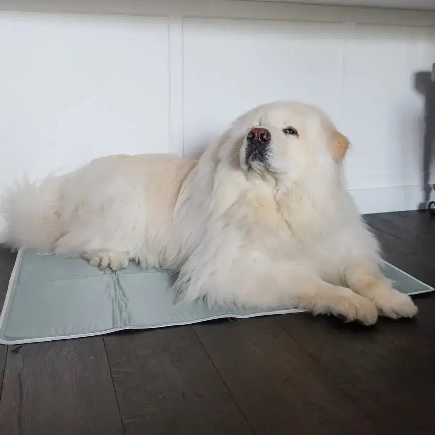 Tapis rafraichissant Cool Pet Pad The Green Pet Shop 2