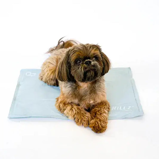Tapis rafraichissant gel Chillz The Green Pet Shop 2