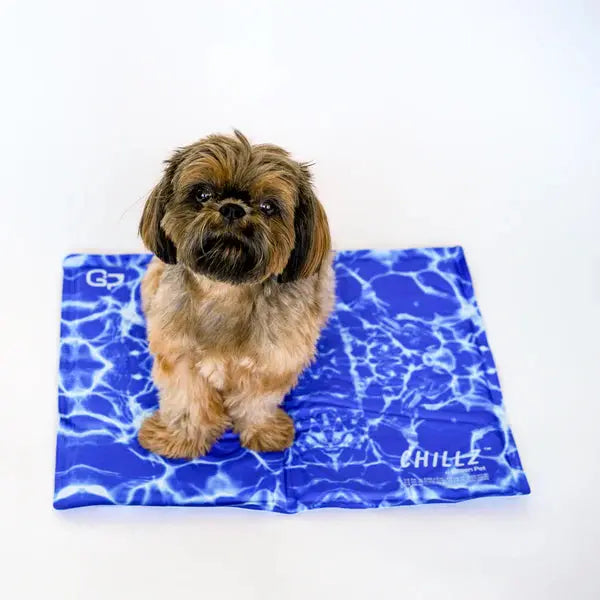 Tapis rafraichissant gel Chillz The Green Pet Shop 3