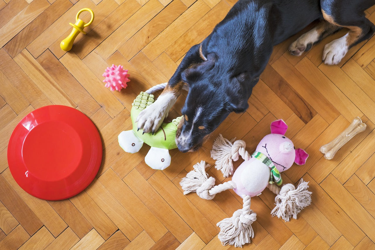 Jouets Reliance Canines
