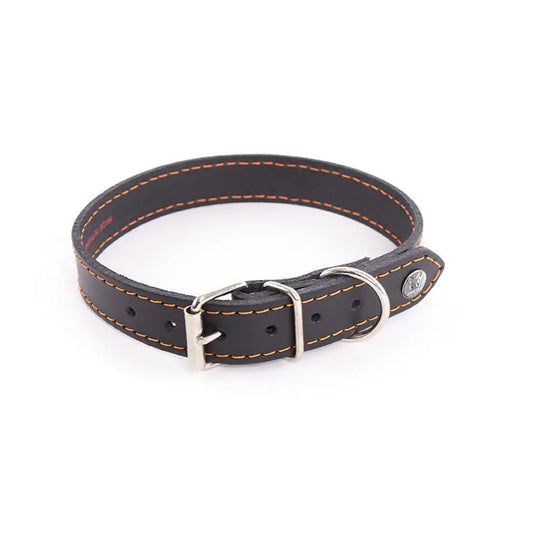 Collier cuir Flash Martin Sellier 2