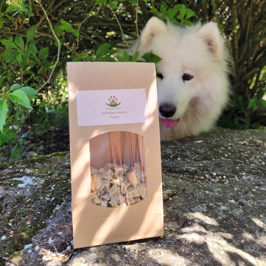 Friandise_maison_Reliance_Canine 2