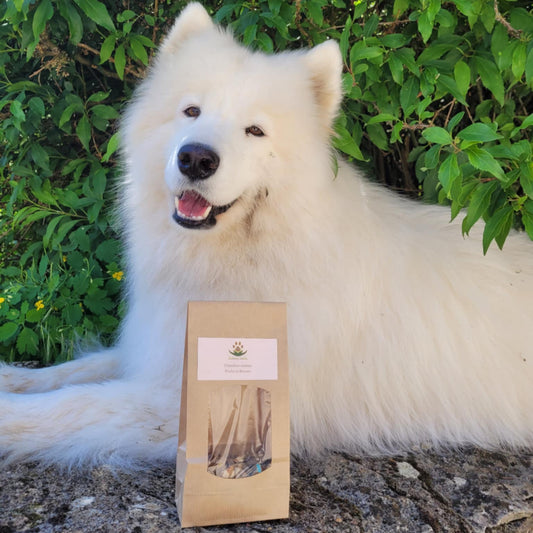 Friandises maison viandes et légume Reliance Canine