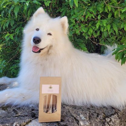 Friandises maison viandes et légumes Reliance Canine 4