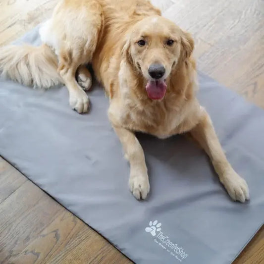 Housse Tapis gel Chillz The Green Pet Shop