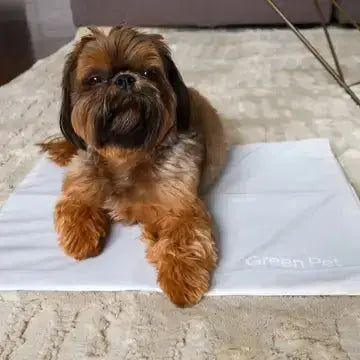 Housse tapis Cool Pet Pad The Green Pet Shop Cloud