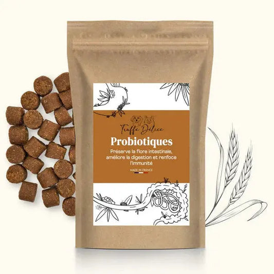 Probiotiques Truffe Délice