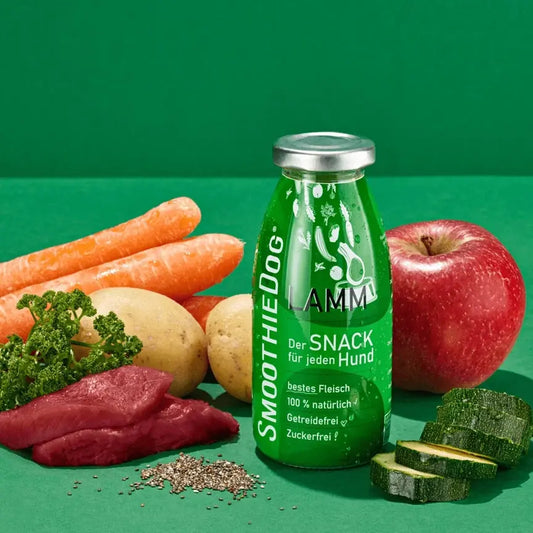 Smoothie Agneau SmoothieDog