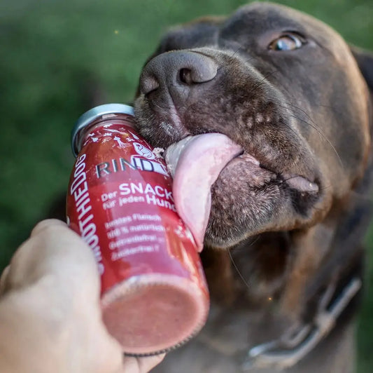 Smoothie Bœuf SmoothieDog