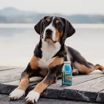 Smoothie Canard SmoothieDog 2