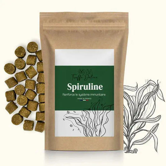 Spiruline Truffe Délice