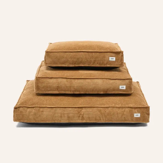 Tapis en velours Côtelé Cafide 5