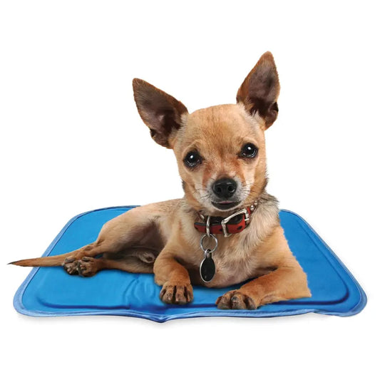 Tapis rafraichissant Cool Pet Pad The Green Pet Shop