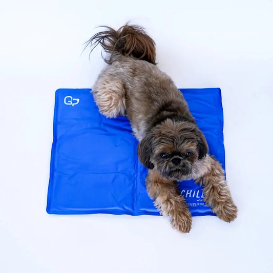 Tapis rafraichissant gel Chillz The Green Pet Shop